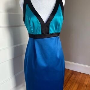 Ellen Tracey Cocktail Dress - 6/8